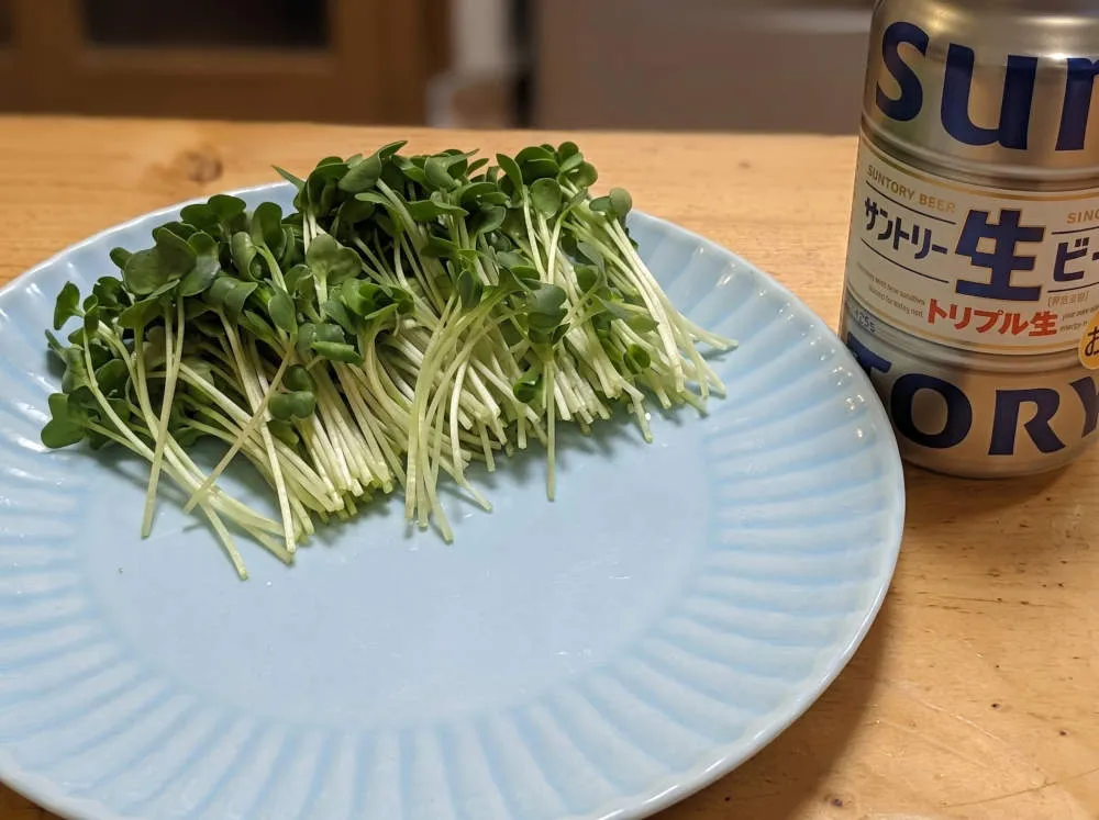 カイワレ大根を皿に敷く