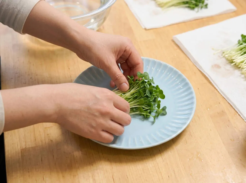 カイワレ大根を準備する