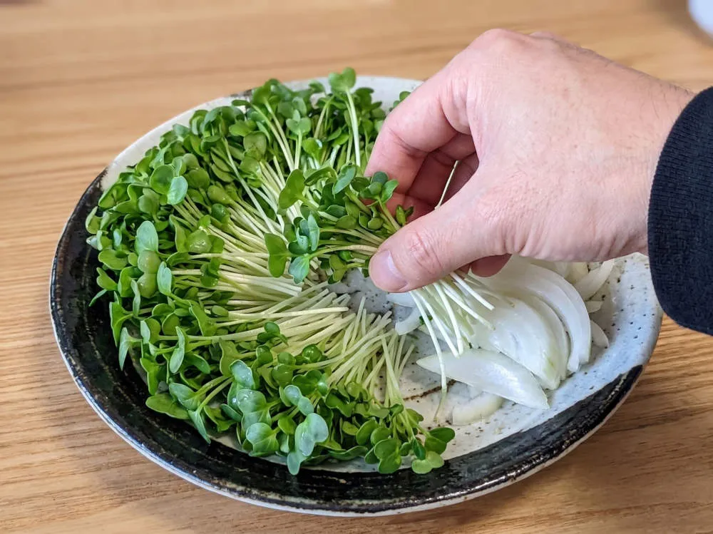 かいわれ大根を皿に敷く