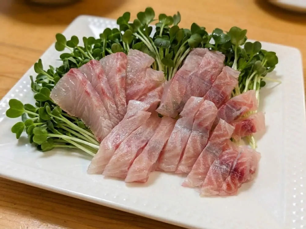 タイの刺身をカイワレ菜の上に並べる