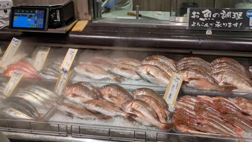 鮮魚コーナーの真鯛